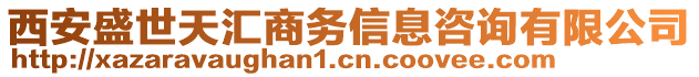 西安盛世天匯商務(wù)信息咨詢有限公司