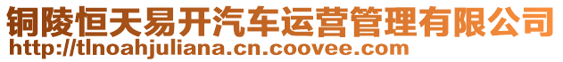 銅陵恒天易開汽車運營管理有限公司