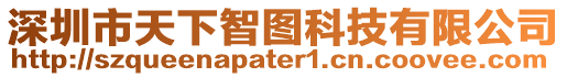 深圳市天下智圖科技有限公司