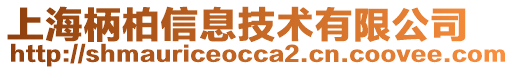 上海柄柏信息技術(shù)有限公司