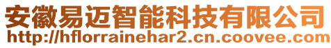 安徽易邁智能科技有限公司