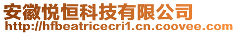 安徽悅恒科技有限公司