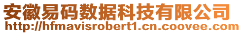 安徽易碼數(shù)據(jù)科技有限公司