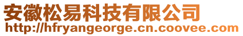 安徽松易科技有限公司