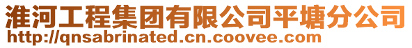 淮河工程集團有限公司平塘分公司