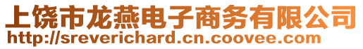 上饒市龍燕電子商務(wù)有限公司