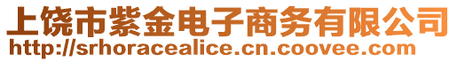 上饒市紫金電子商務(wù)有限公司