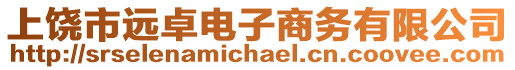 上饒市遠(yuǎn)卓電子商務(wù)有限公司