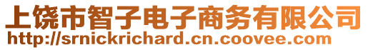 上饒市智子電子商務(wù)有限公司