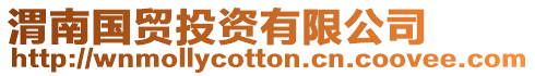 渭南國貿投資有限公司