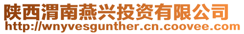 陜西渭南燕興投資有限公司
