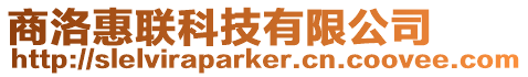 商洛惠聯(lián)科技有限公司