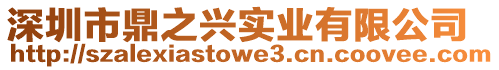 深圳市鼎之興實業有限公司