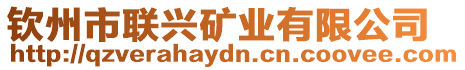 欽州市聯(lián)興礦業(yè)有限公司