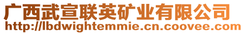 廣西武宣聯英礦業有限公司