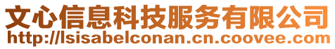 文心信息科技服務(wù)有限公司