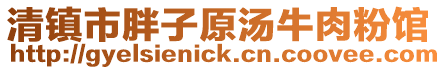清鎮(zhèn)市胖子原湯牛肉粉館