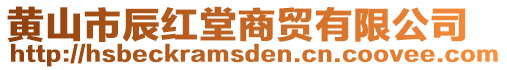 黃山市辰紅堂商貿(mào)有限公司