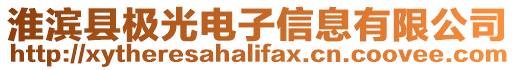 淮濱縣極光電子信息有限公司