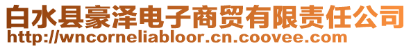 白水縣豪澤電子商貿有限責任公司