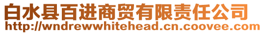 白水縣百進商貿有限責任公司