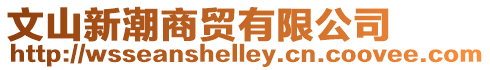 文山新潮商貿(mào)有限公司