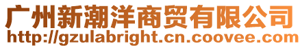 廣州新潮洋商貿有限公司