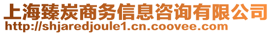 上海臻炭商務(wù)信息咨詢有限公司