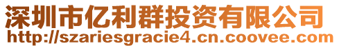 深圳市億利群投資有限公司