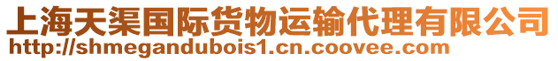 上海天渠國際貨物運輸代理有限公司