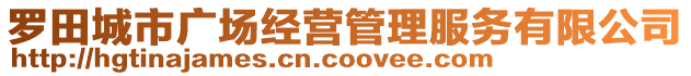 羅田城市廣場經(jīng)營管理服務(wù)有限公司