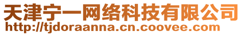 天津?qū)幰痪W(wǎng)絡(luò)科技有限公司