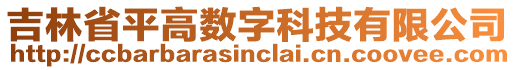 吉林省平高數(shù)字科技有限公司