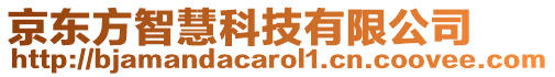 京東方智慧科技有限公司
