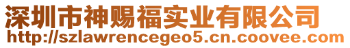深圳市神賜福實業有限公司