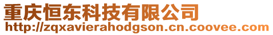 重慶恒東科技有限公司