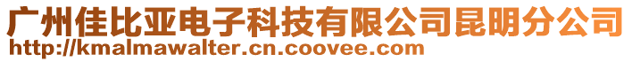 廣州佳比亞電子科技有限公司昆明分公司