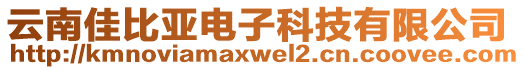 云南佳比亞電子科技有限公司