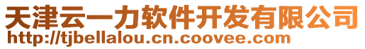 天津云一力軟件開(kāi)發(fā)有限公司