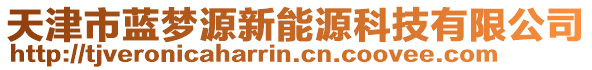 天津市藍(lán)夢源新能源科技有限公司