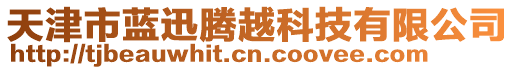 天津市藍迅騰越科技有限公司