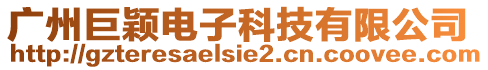 廣州巨穎電子科技有限公司