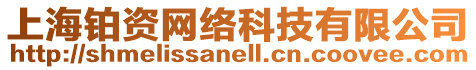 上海鉑資網絡科技有限公司