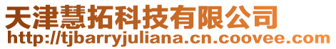 天津慧拓科技有限公司