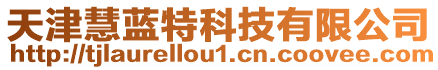 天津慧藍(lán)特科技有限公司