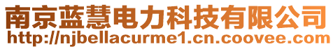 南京藍(lán)慧電力科技有限公司