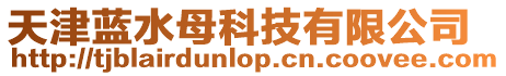 天津藍水母科技有限公司