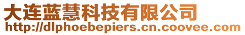 大連藍慧科技有限公司