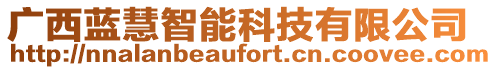 廣西藍慧智能科技有限公司