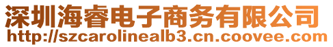 深圳海睿電子商務(wù)有限公司